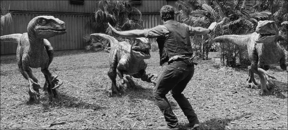 How tough Product Managers pick fights