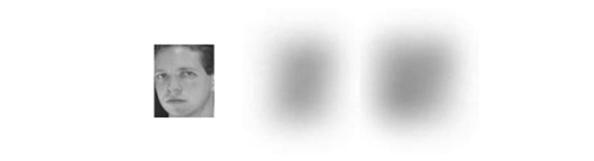 Nothing pixelated will stay safe on the internet