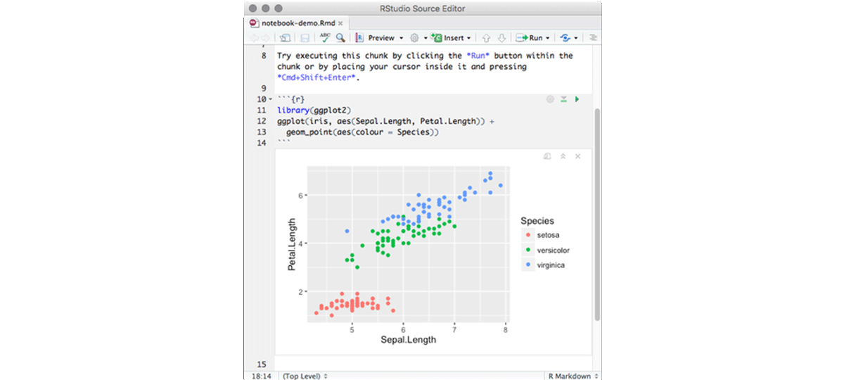 R Notebooks