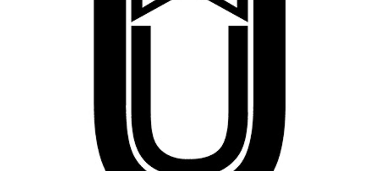 Developer (front-end / back-end)