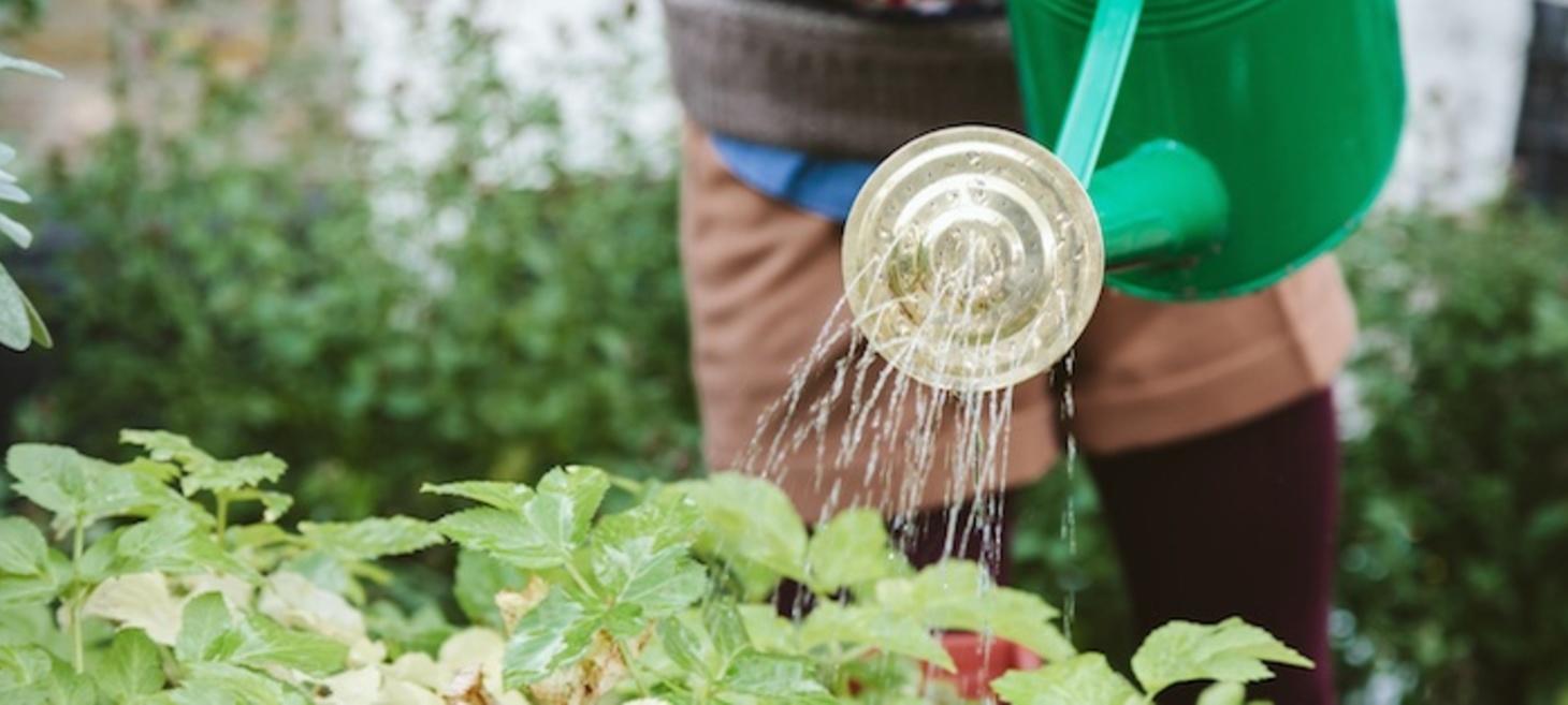 19 Lead Nurturing Email Examples You'll Want to Steal