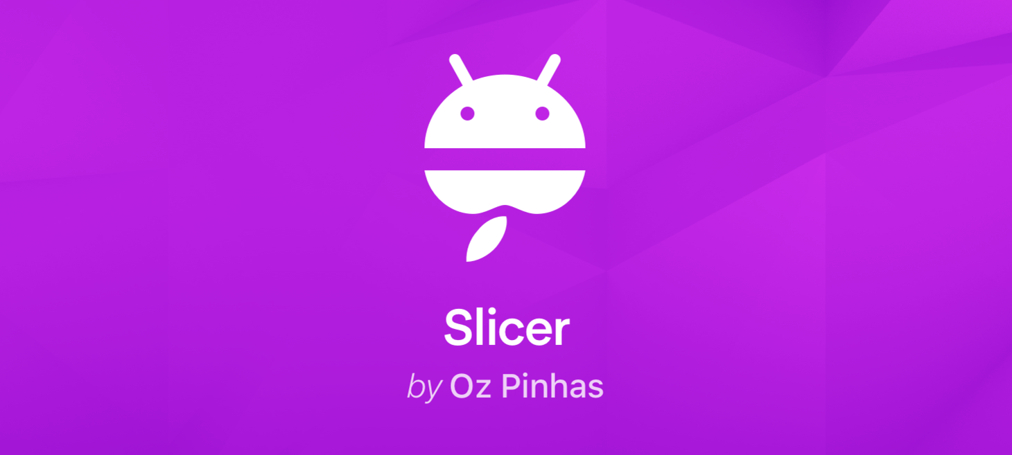 Slicer Plugin