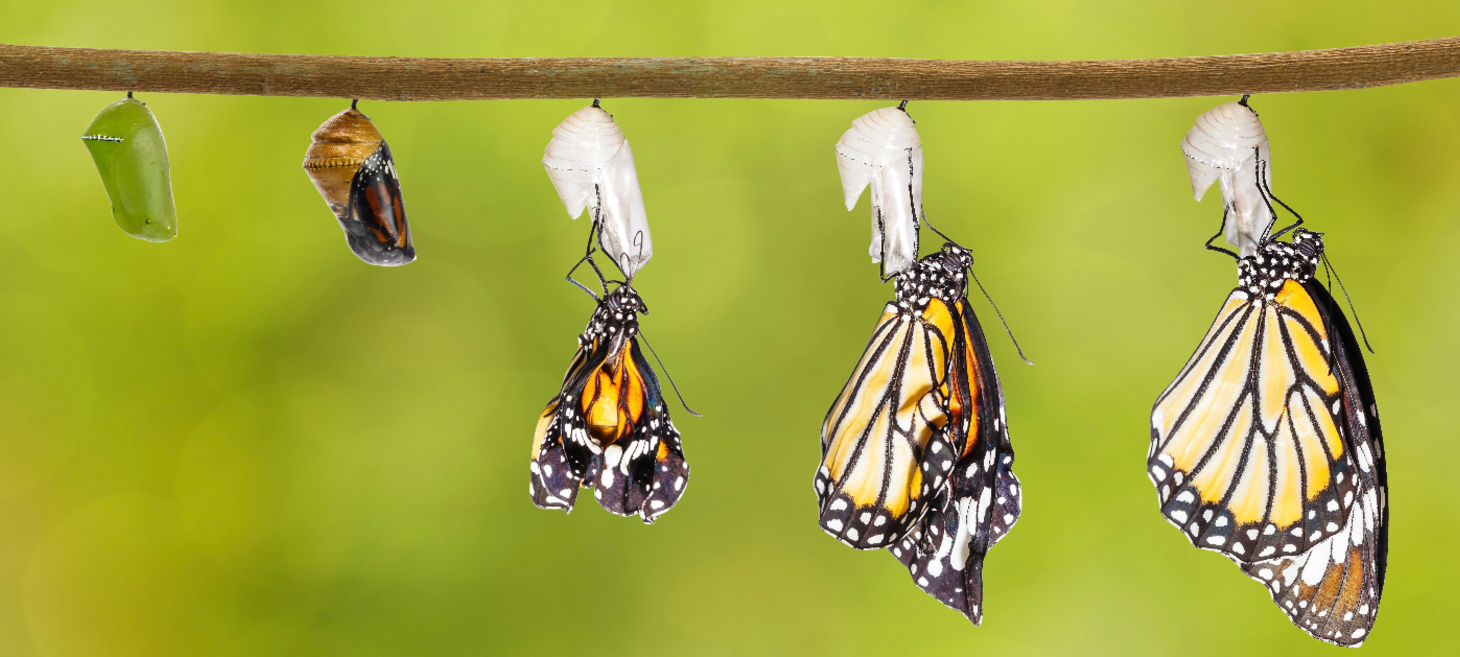 5 Ways You Can Use Visual Content to Increase Conversion Rates
