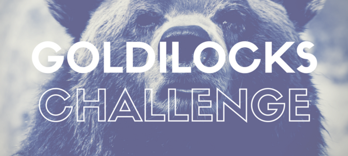 The Goldilocks Challenge for Vacation Rental Listing Descriptions
