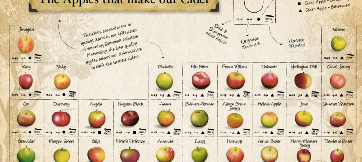 Charting Cider Apples