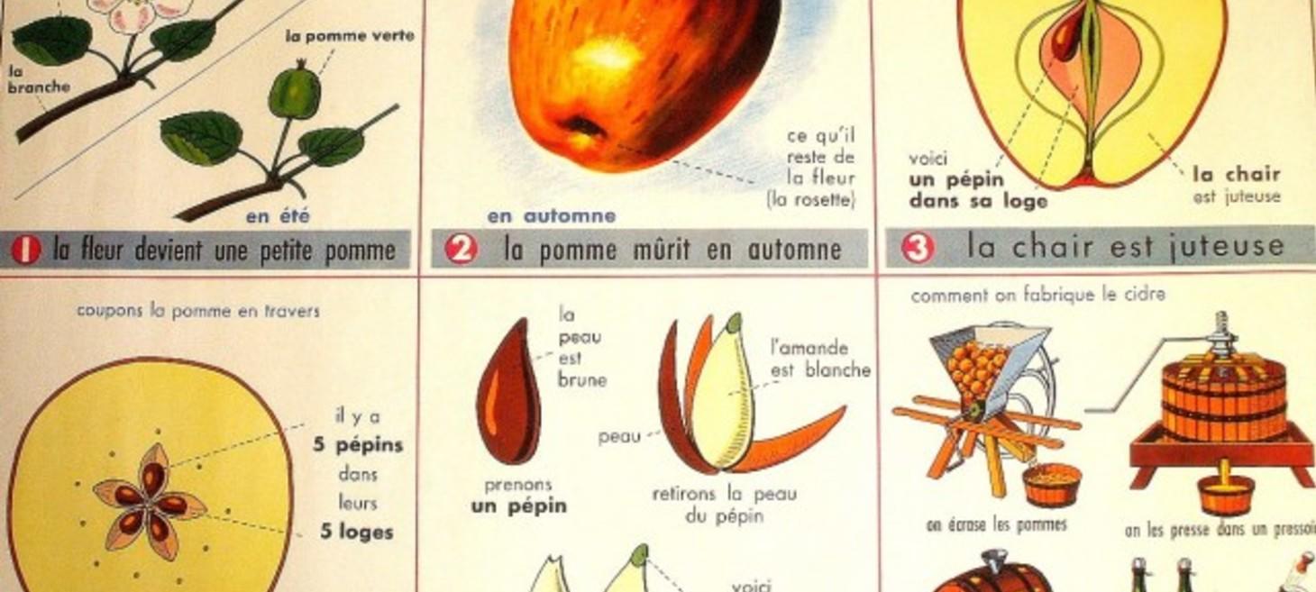 Should Cider Have A Vintage?