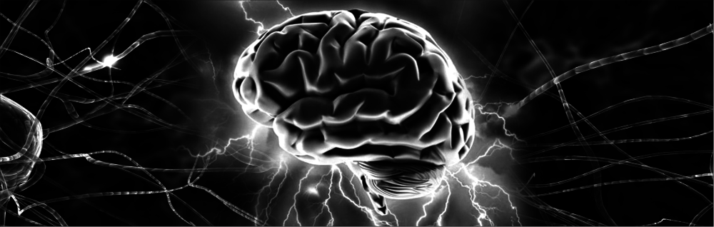 The Product is the Brain!
