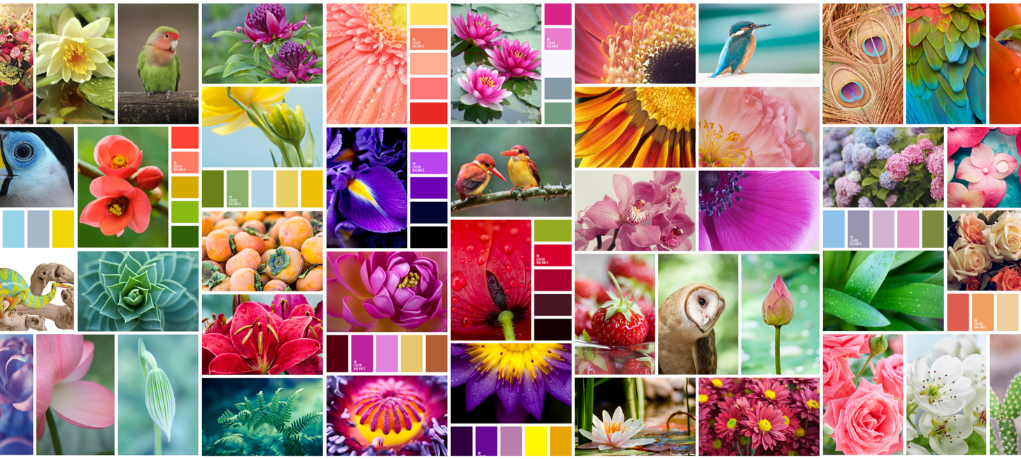 Introduction to Natural palettes