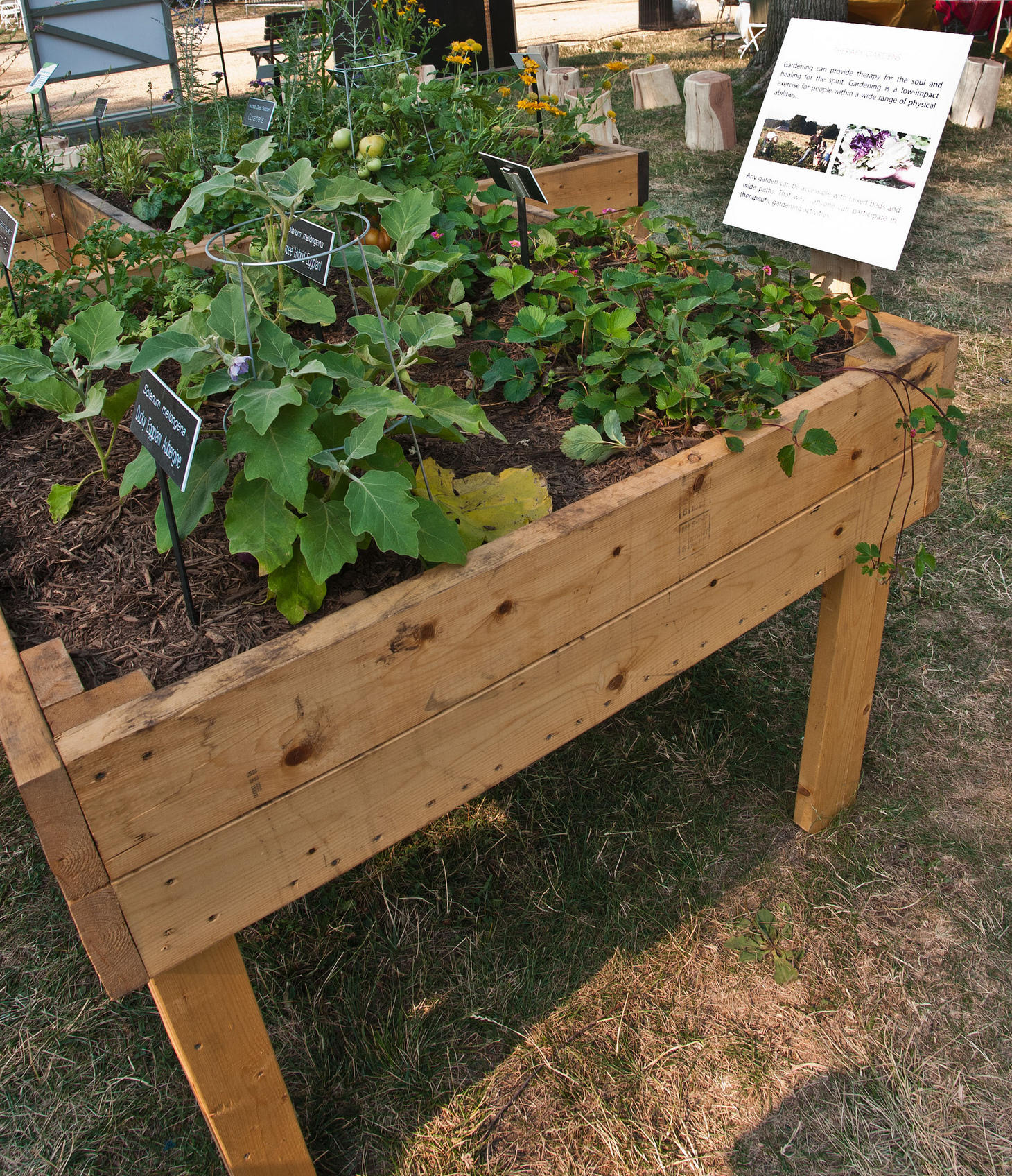 15 Ways to Make Gardening Easier