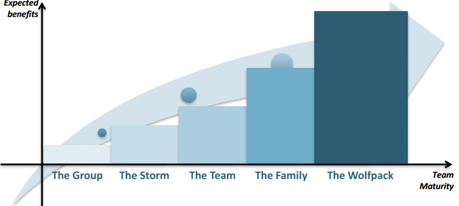 Evolution of the Development Team