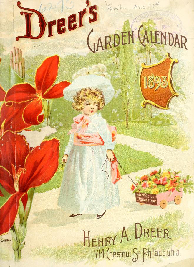 Planning a Salvia Garden Calendar