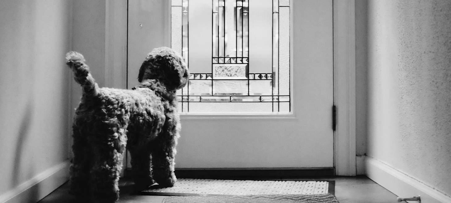 Publicly Dogfooding Your Culture