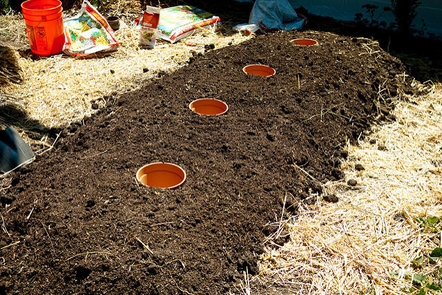 How to Use an Olla to Water Dry Gardens