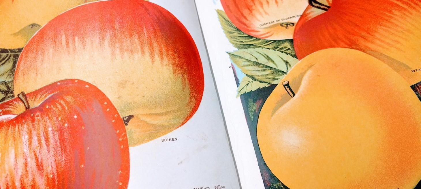 Know Your Hard Cider – Bittersharps And Sweets