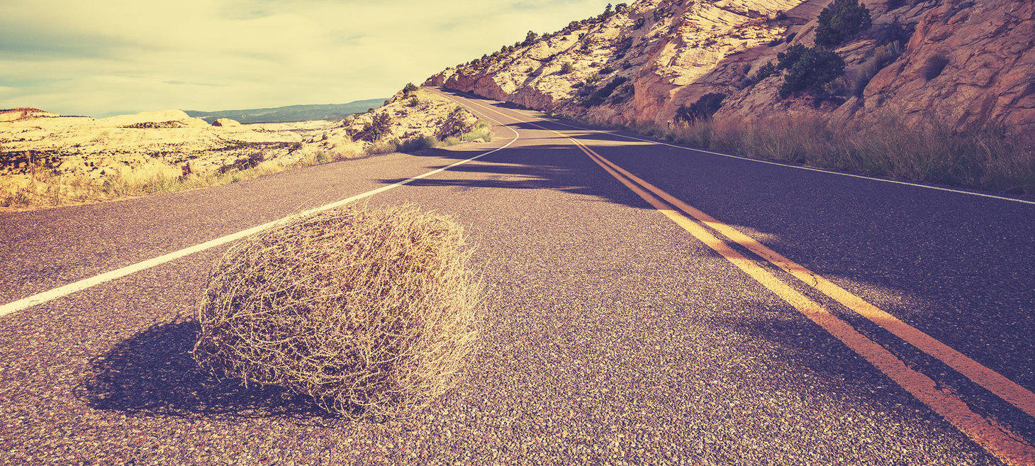 Where Has the Creativity Gone in Web (and UX) Design? π¦