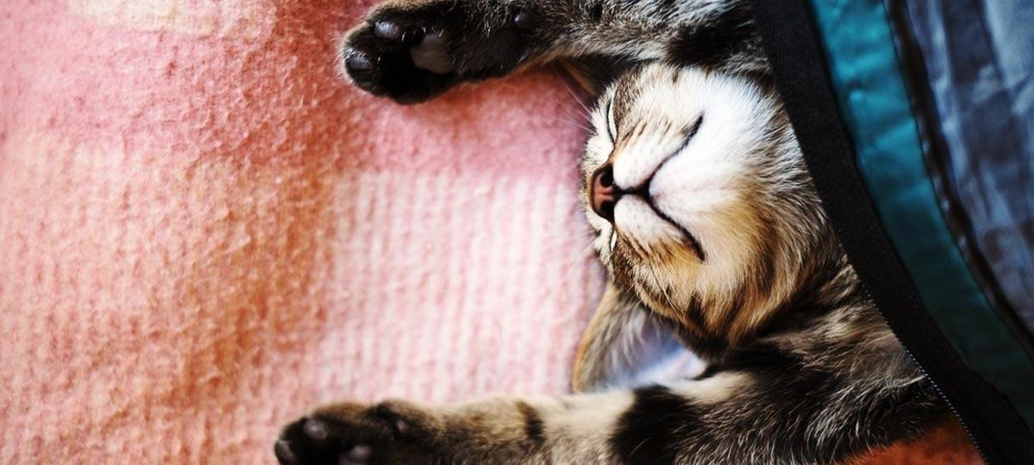 How to Make Yourself Work When You Just Don’t Want To