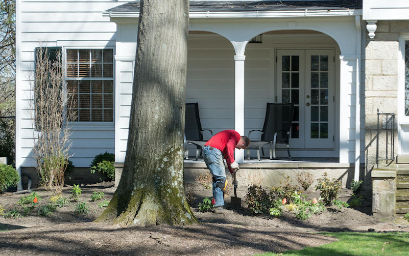 Tips for Selecting and Working with a Landscaper