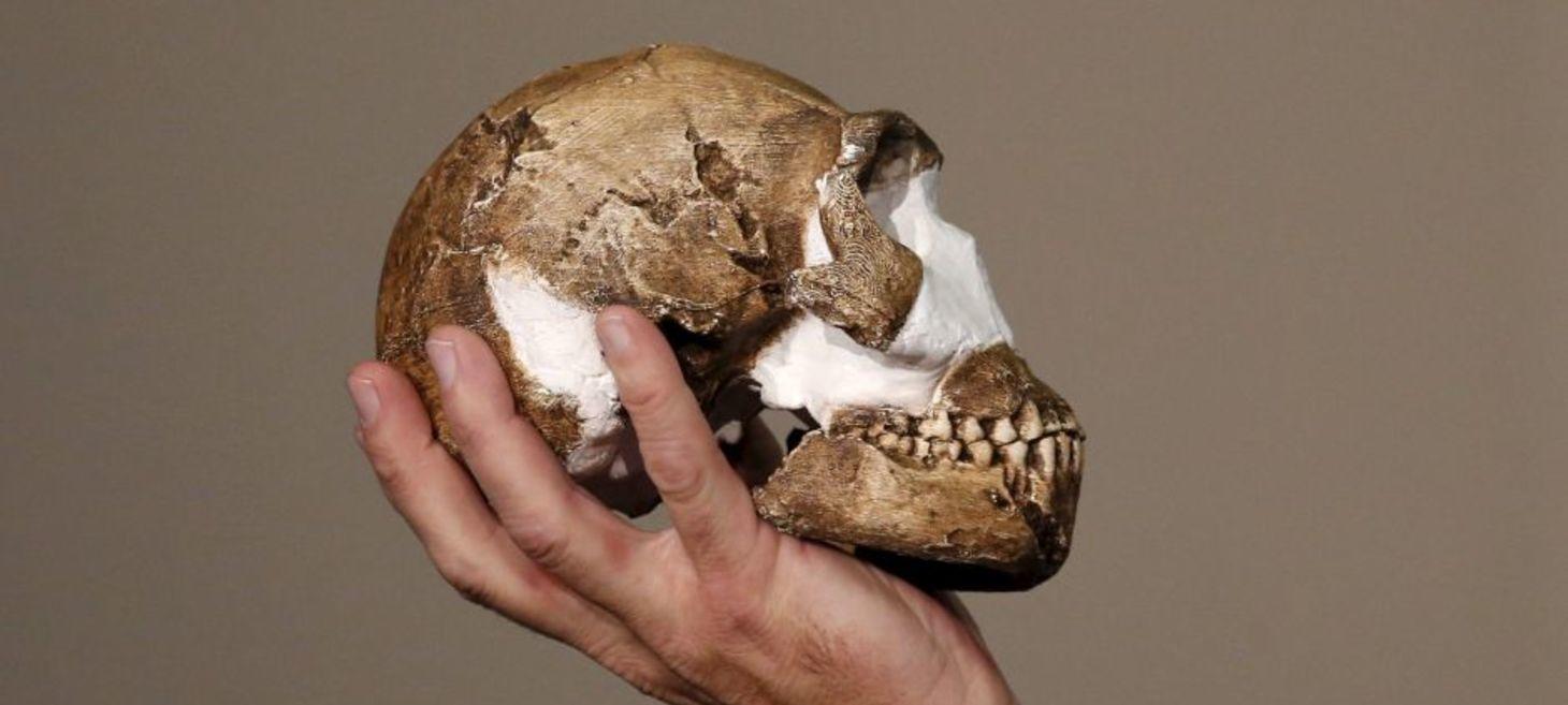 Researchers Are Using Darwin's Theories to Evolve AI, so Only the Strongest Algorithms Survive