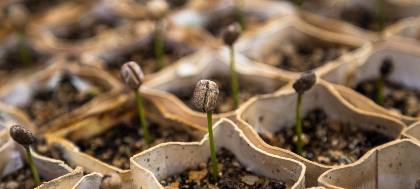 What's the impact of investing in UX? ๐ฅ