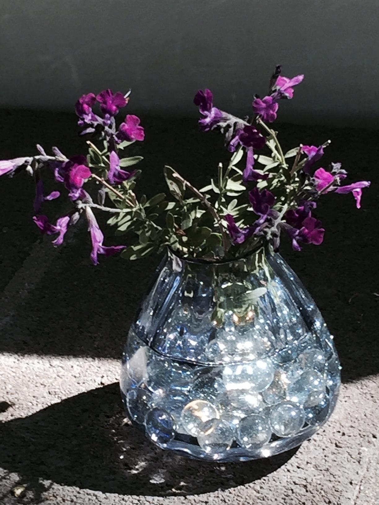 Using Salvias in Flower Arrangements
