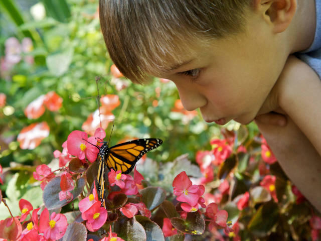 Planting Gardens Children Can Enjoy