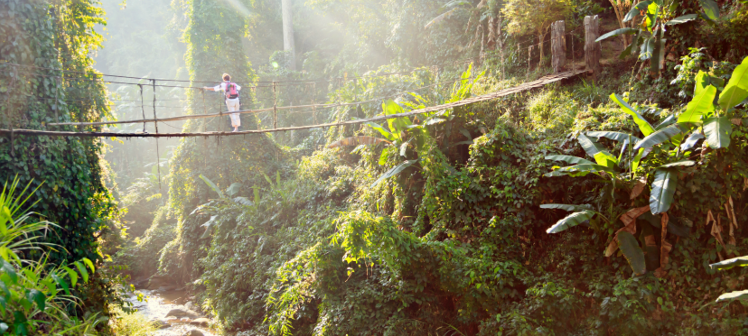 Dan Geer Explores the DevOps 'Law of the Jungle' Dilemma
