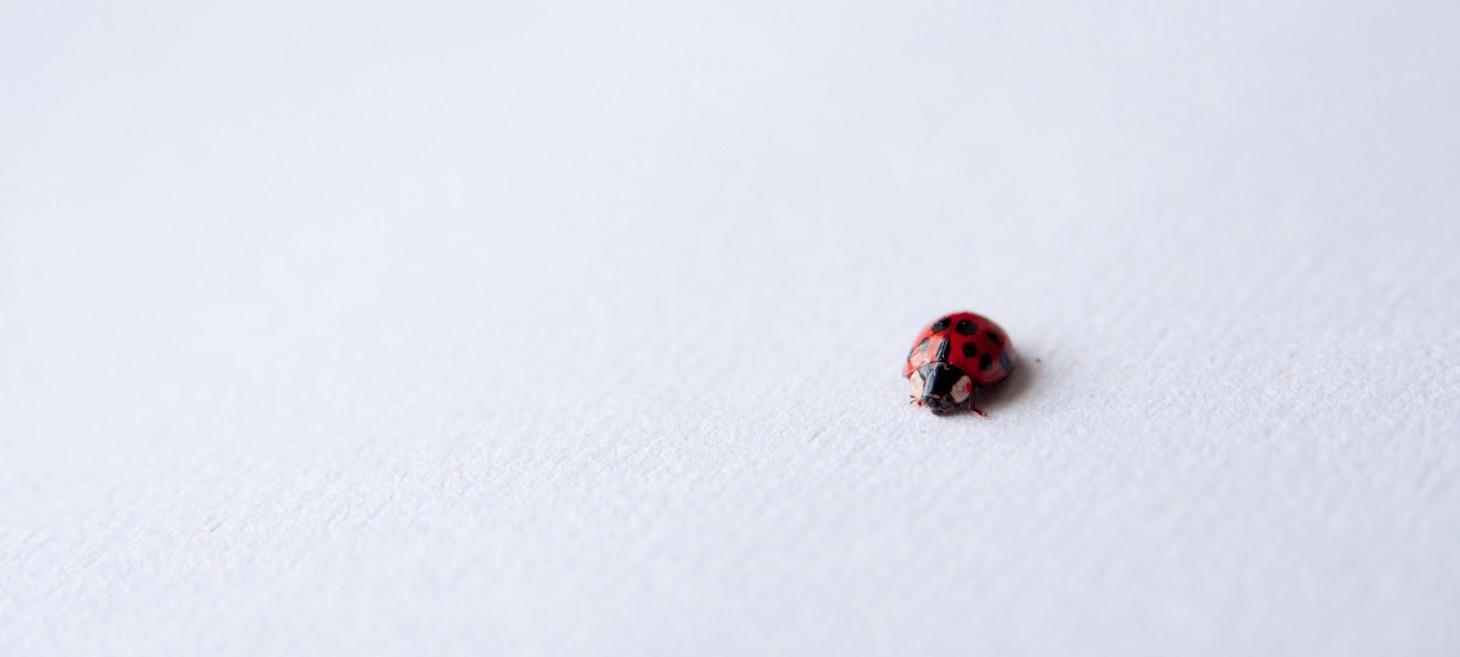The importance of the small feature