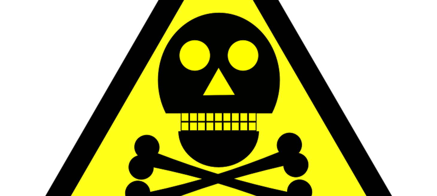 Here’s How to Triumph in a Toxic Office