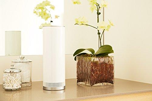 Stelle Audio Bluetooth Audio Pillar