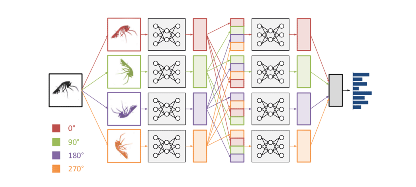 Classifying plankton with deep neural networks