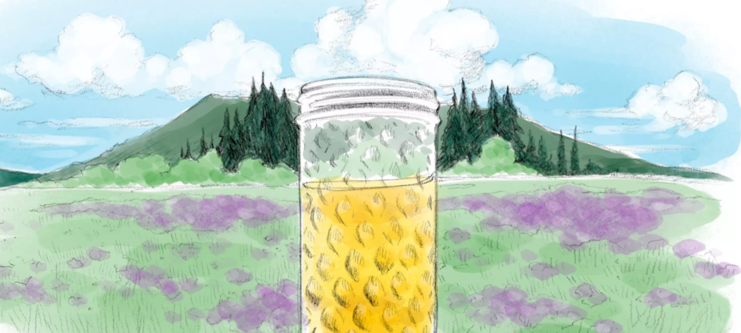 A Guide to the Olympic Peninsula Cider Route