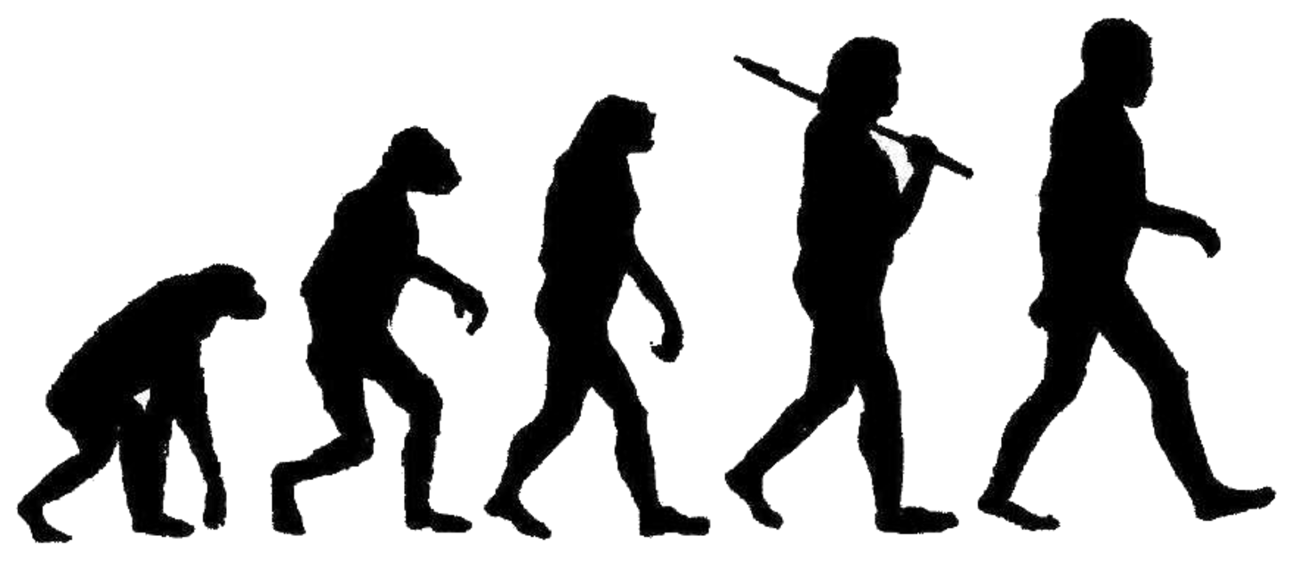 Guiding Principles for an Evolutionary Software Architecture