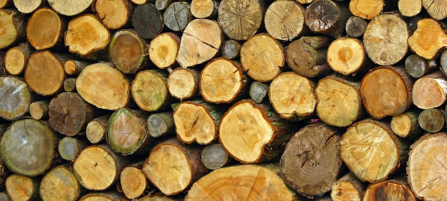 Don’t Read Your Logs