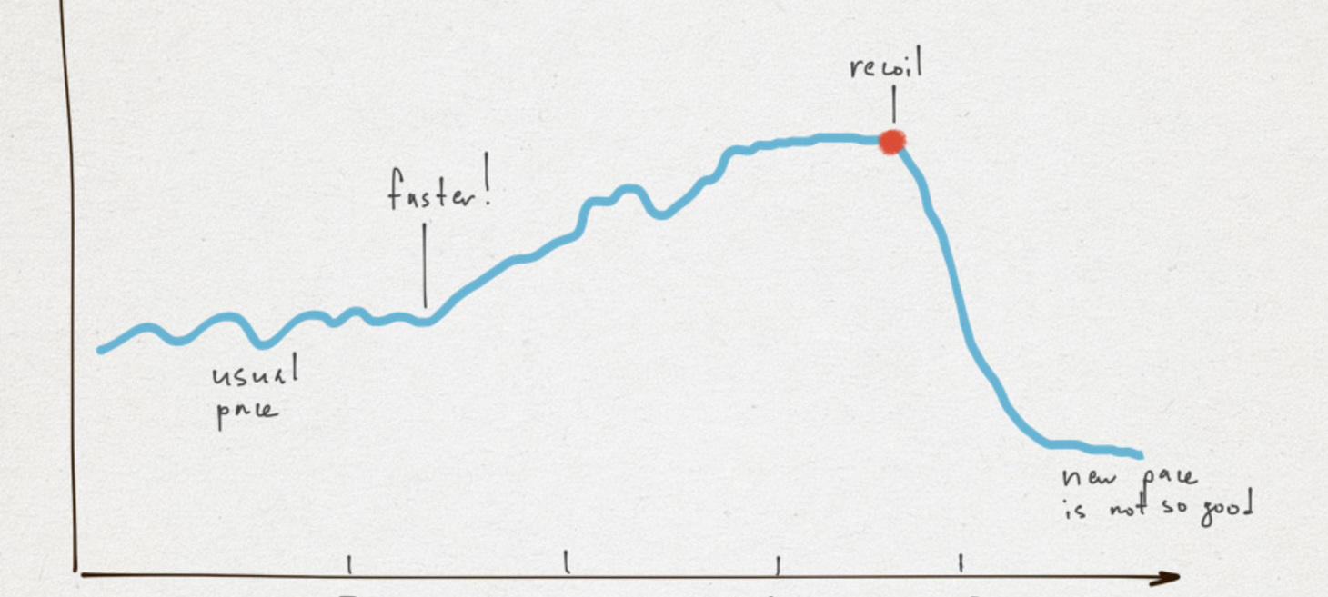 Speed in Software Development