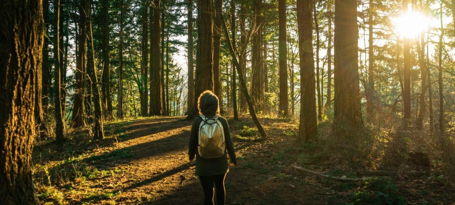 The State of Continuous Testing: It's a Journey, Not a Destination