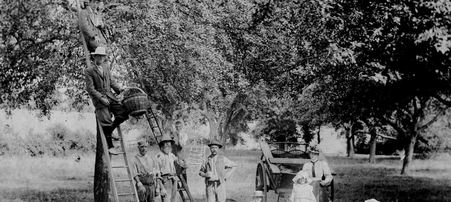 What's The Meaning Of "Farmhouse" Cider?