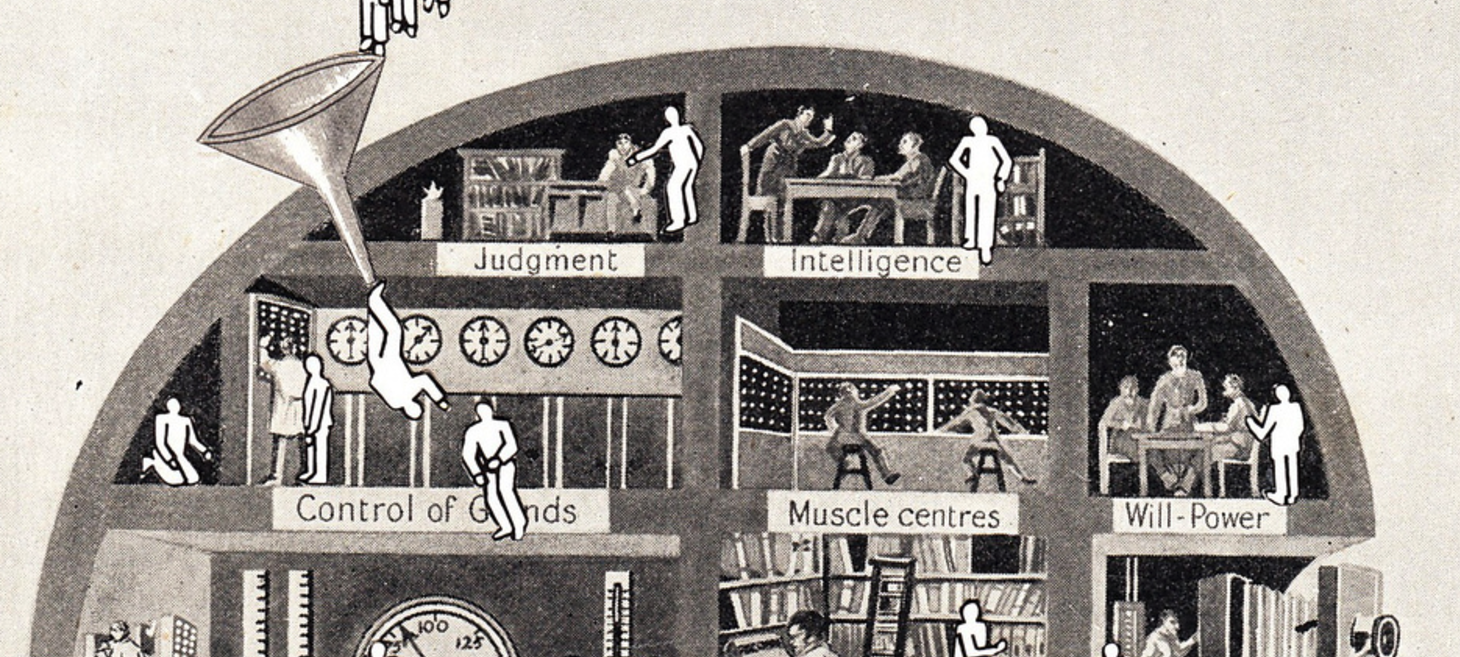 Four psychology principles every UX designer should know