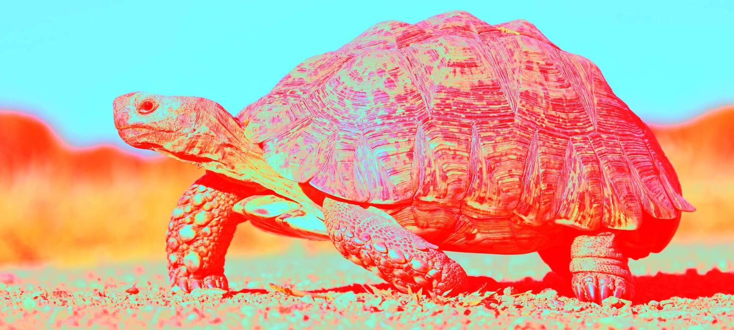 When Slower UX is Better UX 🐢