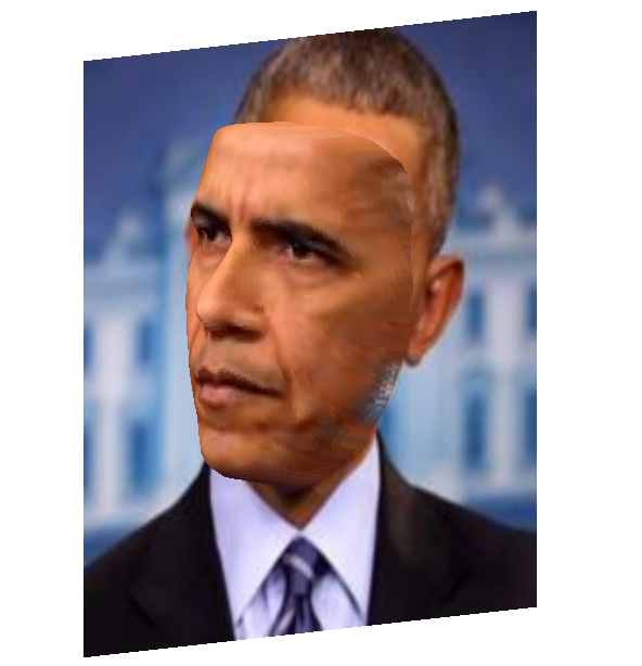 3D Face Reconstruction from a Single Image