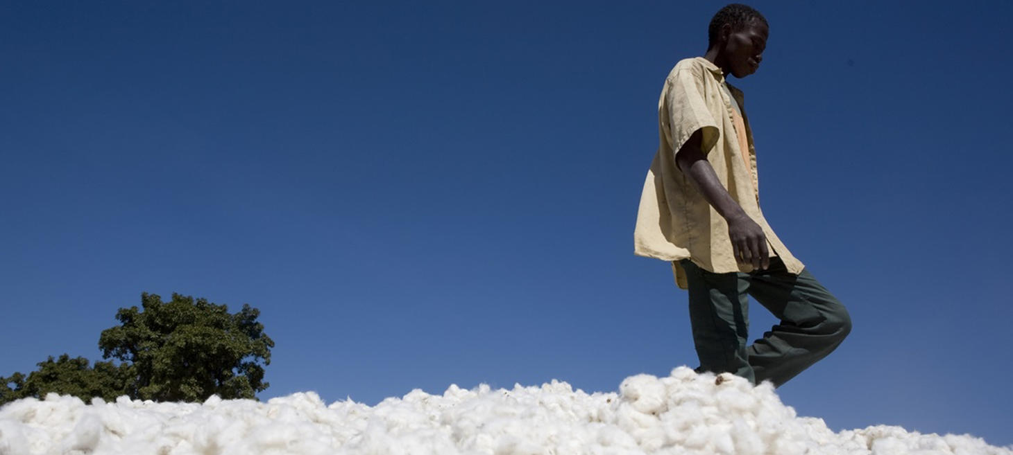 36 Major Brands Pledge To Achieve Sustainable Cotton By 2025