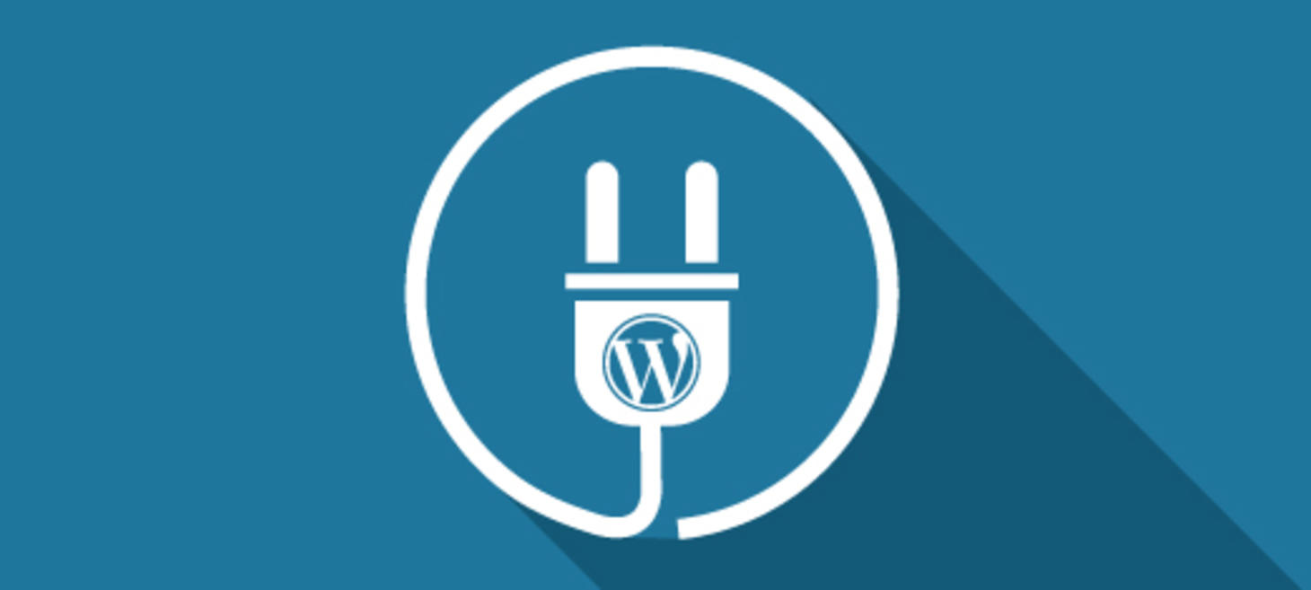 From Building WordPress Sites to Selling Plugins in One Year