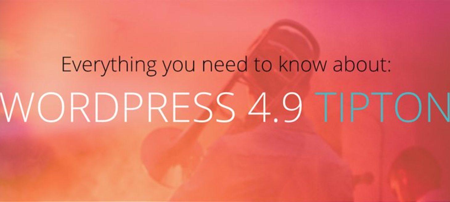 Everything You Need to Know About WordPress 4.9 Tipton