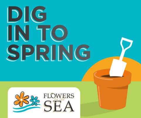 Quick Digs: Spring Weeds in Salvia Gardens