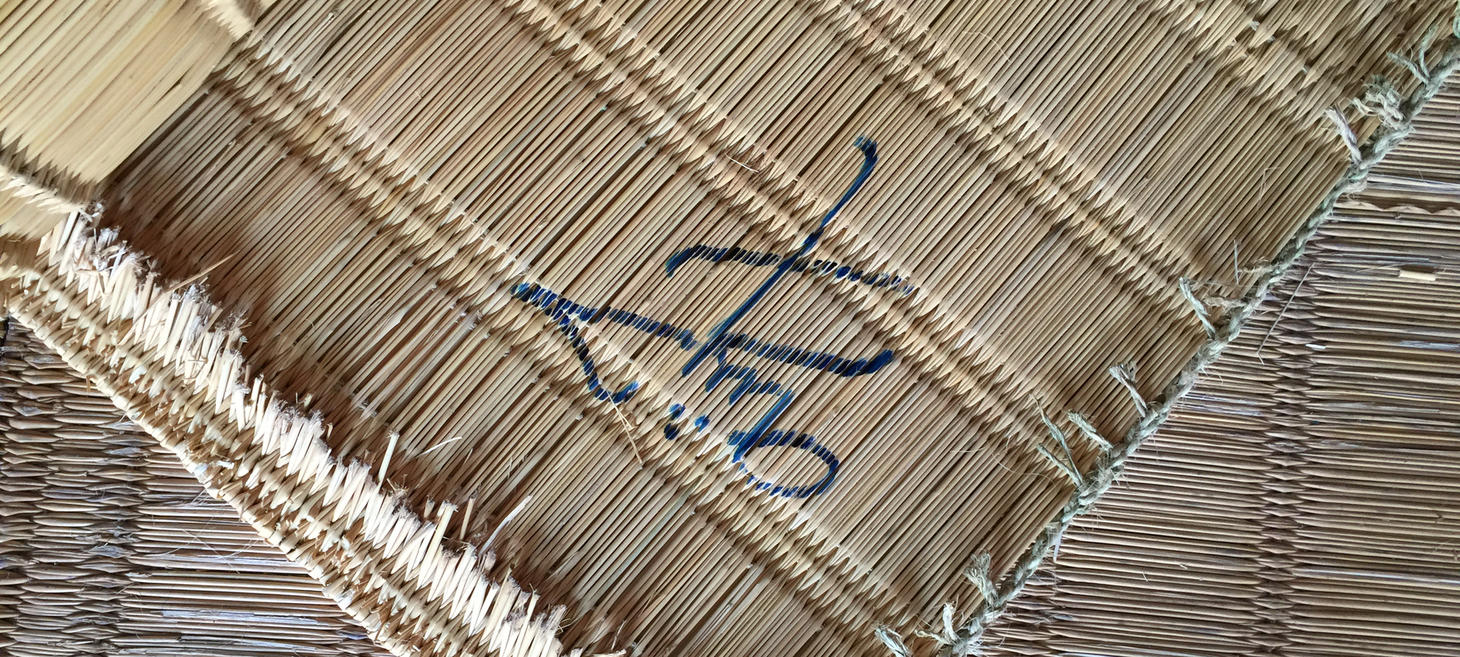 NEW STORY: Tunisian Basketry