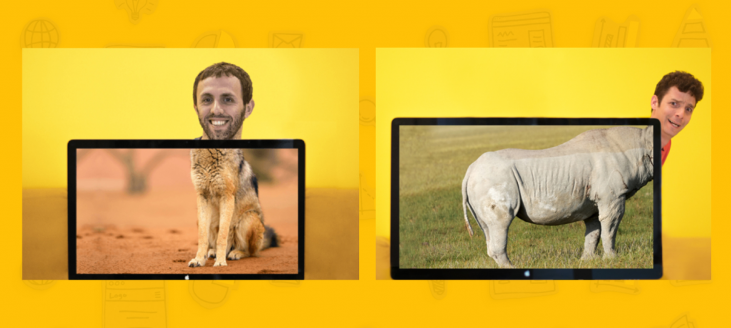 Making Analytics Simple with Asi Dayan and Noam Green