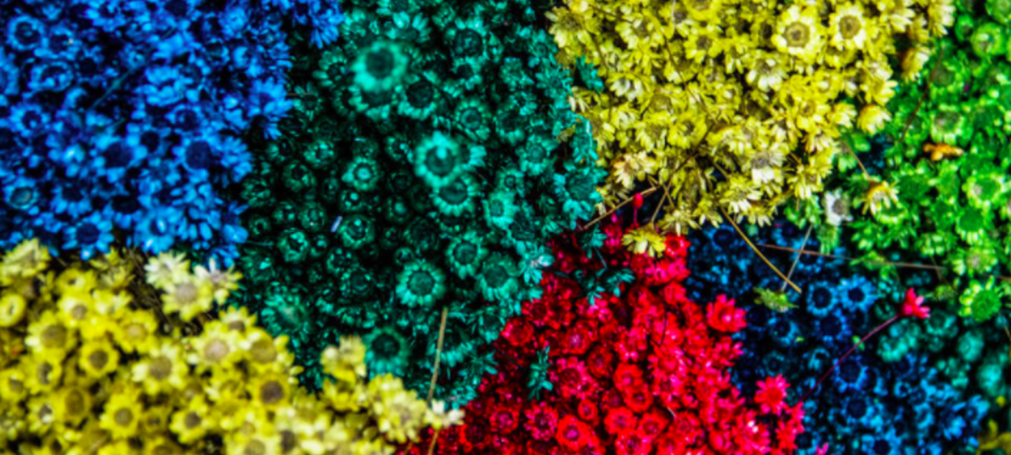 How To Make A Better Business Case For Diversity