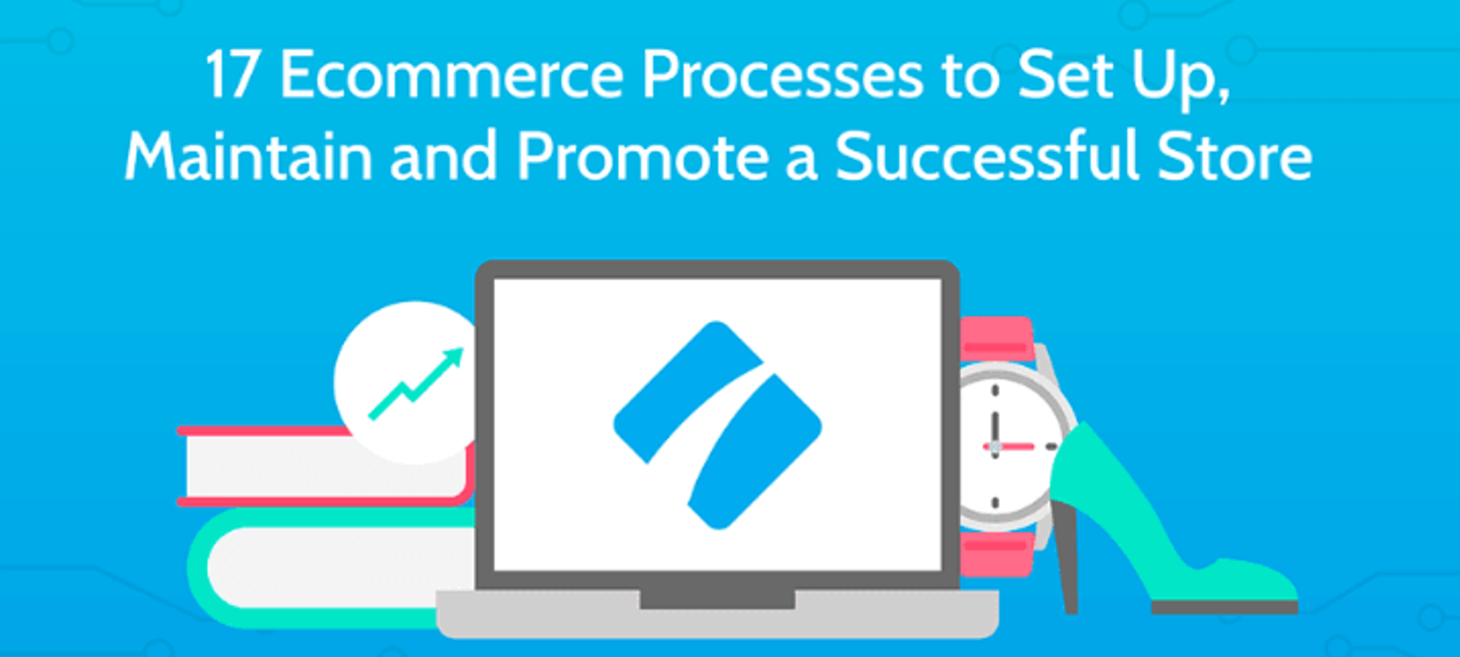 17 Ecommerce Processes to Set Up, Maintain and Promote a Successful Store