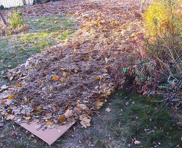 How to Create Garden Beds by Sheet Mulching