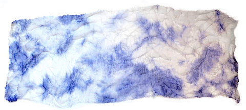 Textile Dyeing.... With Bacteria?