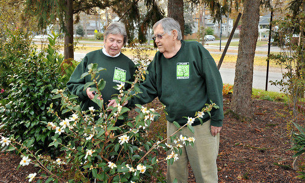 New Jersey's Linnwood Arboretum: A Little Acre of Unsung Plants